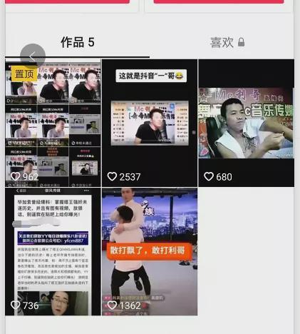 網(wǎng)紅黑料網(wǎng)站,揭開(kāi)網(wǎng)絡(luò )輿論背后的真相