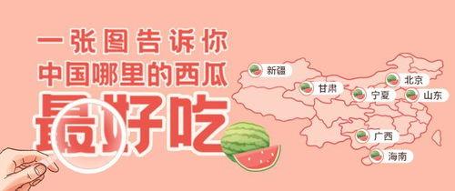朝陽(yáng)吃瓜群眾一枚,揭秘京城街頭巷尾的熱辣話(huà)題