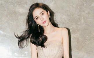 明星黑料女,明星黑料背后的真相與反思