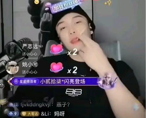 網(wǎng)紅黑料是什么意思,網(wǎng)絡(luò )輿論背后的真相與反思